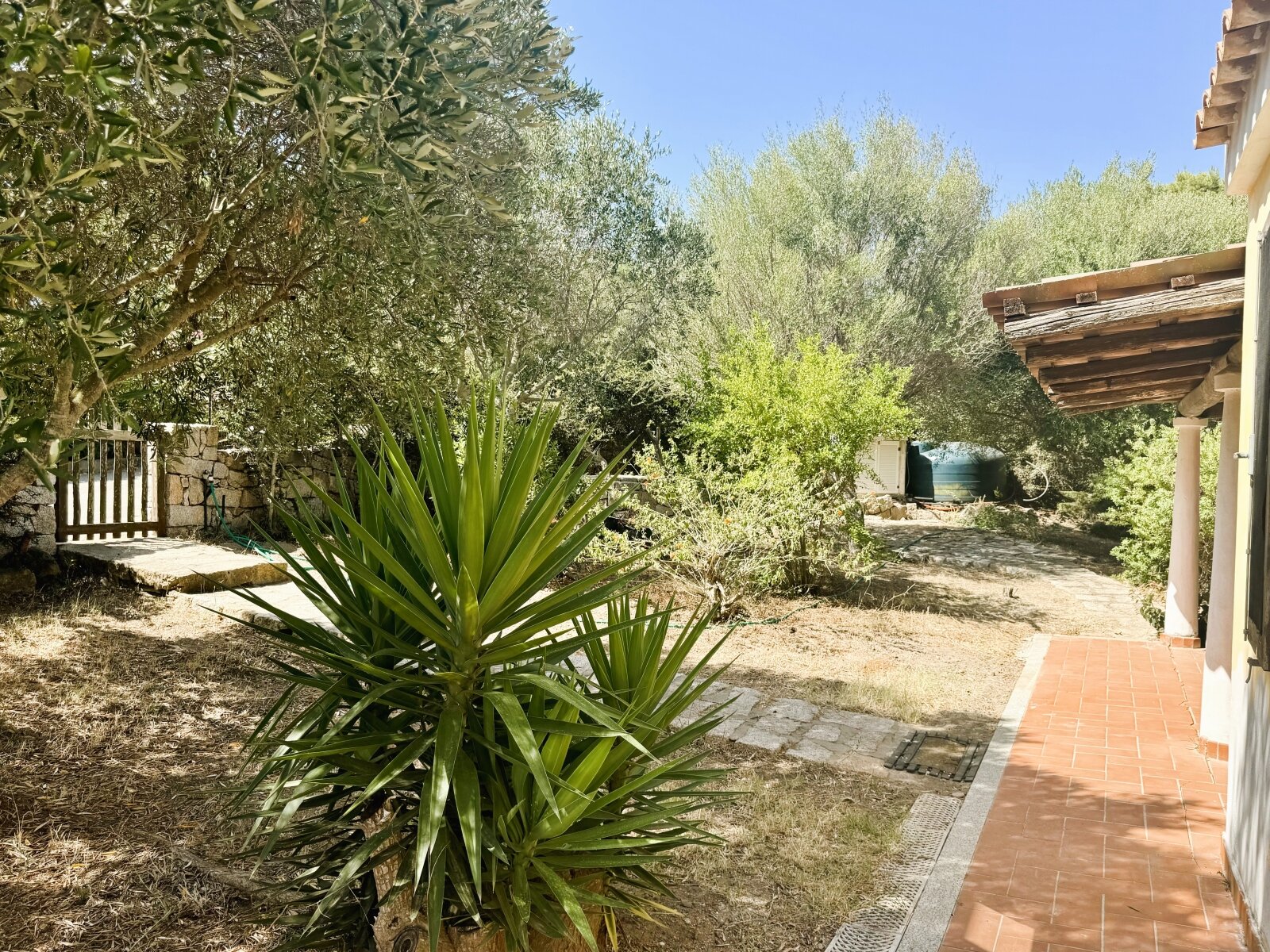 La Filetta, Via Levante, Garten