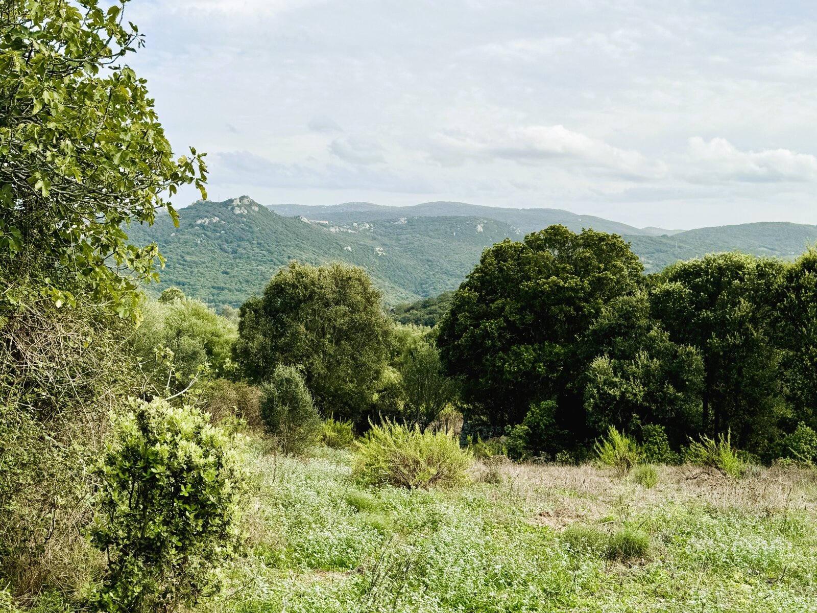 Stazzo La Sarra, Luogosanto