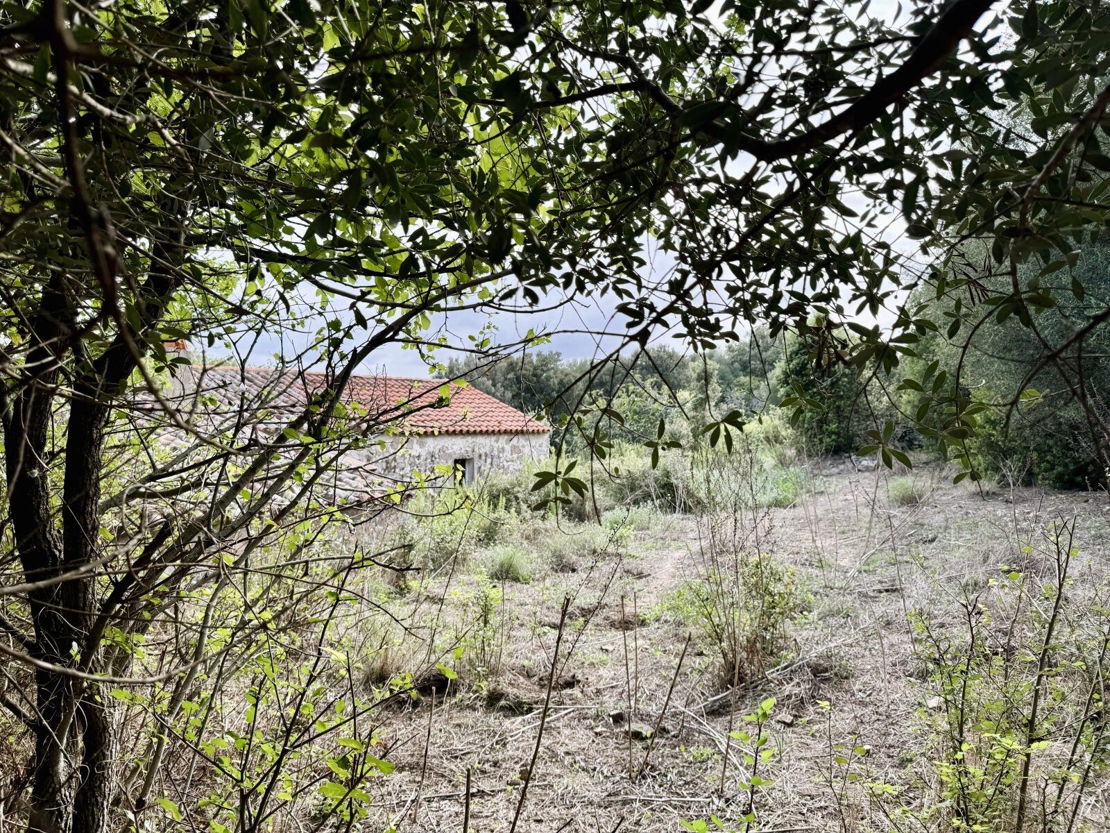 Stazzo La Sarra, Luogosanto