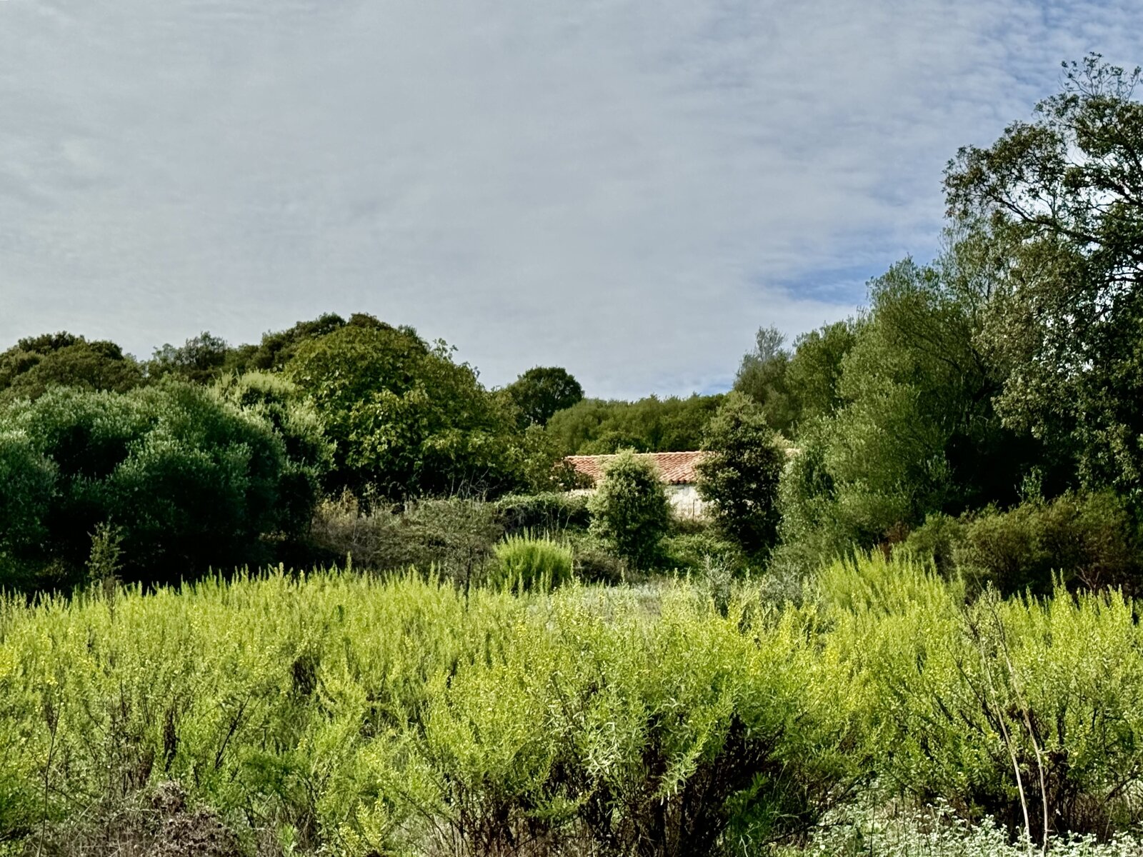 Stazzo La Sarra, Luogosanto