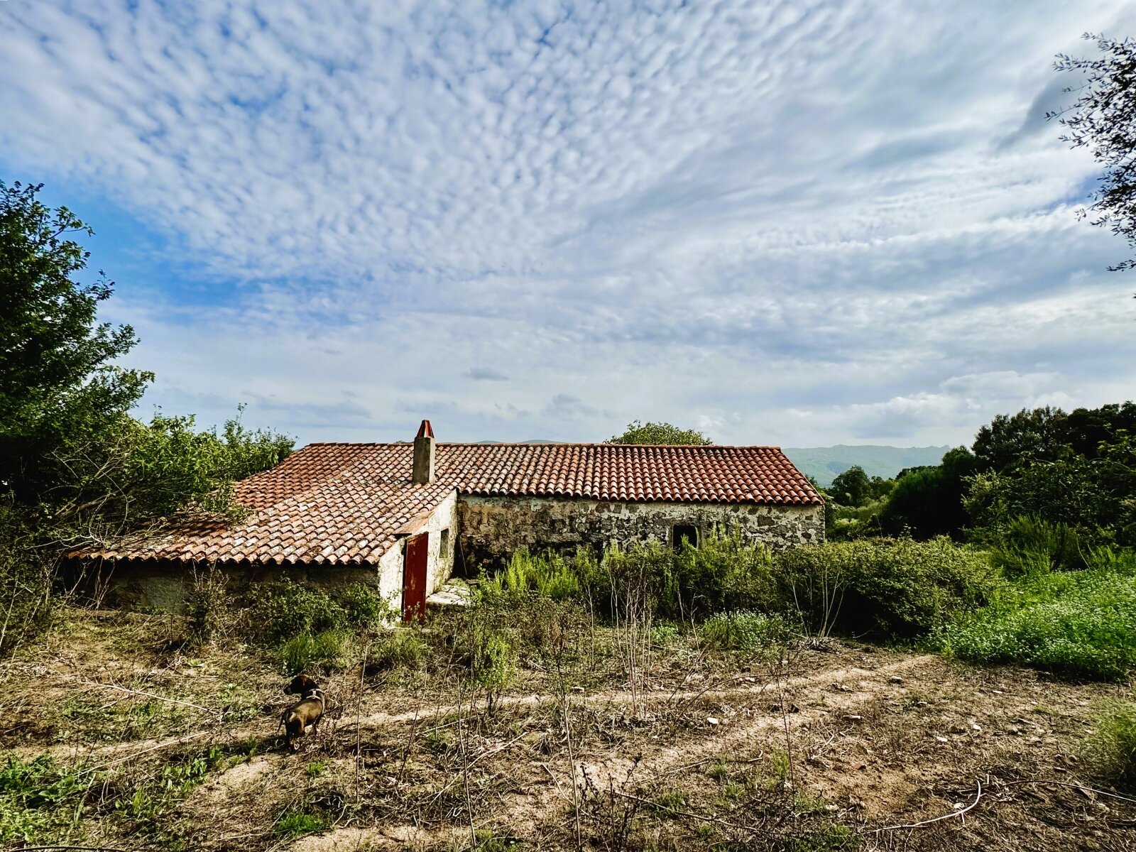 Stazzo La Sarra, Luogosanto