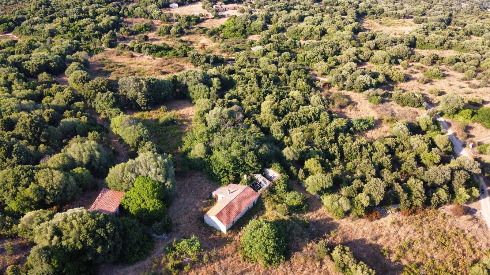 Stazzo La Sarra, Luogosanto, Drohne