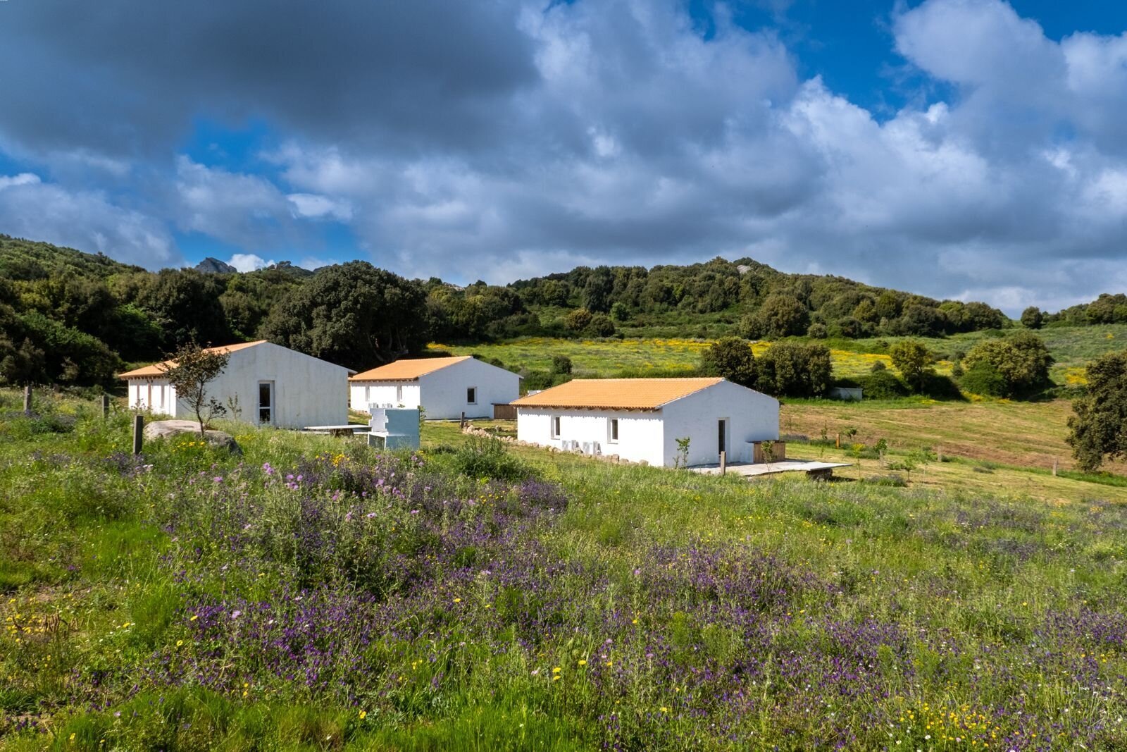 3 Häuser, Pool, Ruhe, Meerblick, 5 Hektar, Luogosanto 3 Häuser, Pool, Ruhe, Meerblick, 5 Hektar, Luogosanto